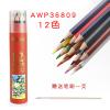 M&G AWP-36809 水溶性木顏色筆-12色