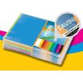 MAYART Prisma Color Card A4 160gms 顏色紙(10張裝)