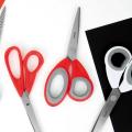 Milan BWM10264 (19cm/7.5