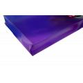 Smartmax SM1357 PVC 密封風琴拉鏈袋DL (255x130mm)
