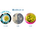 日本Raymay EW401 手持放大鏡(3.5x / 6x / 13x)